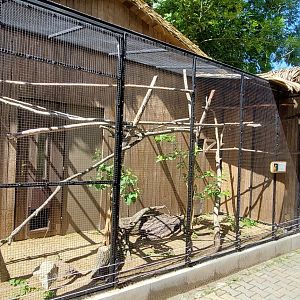 Aviary for Sun conures and Chaco maras