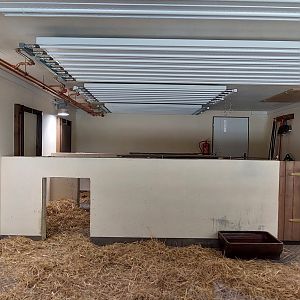 Chaco peccary indoor stable