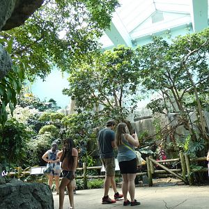 Free Flight Exhibit, Aviary - Aug. 2021
