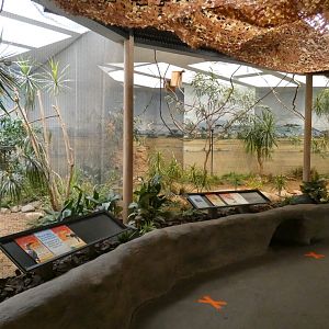 African Savannah, Aviary - Aug. 2021