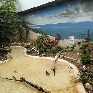 Shoreline, Aviary - Aug. 2021