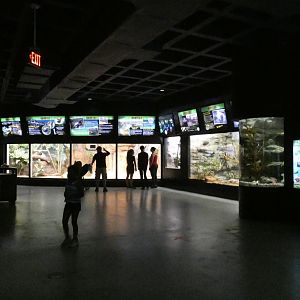 Aquarium & Reptile Building - Aug. 2021