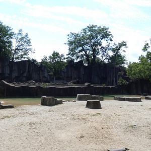African Waterhole Yard/Outdoor Lion & Hyena Exhibit, Africa/Asia/South America - Aug. 2021