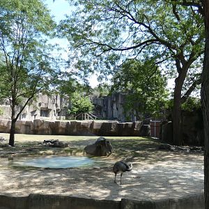 South American Yard/Outdoor Jaguar Exhibit, Africa/Asia/South America - Aug. 2021