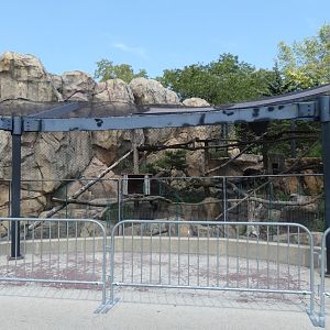 Red Panda Exhibit, Big Cat Country - Aug. 2021