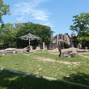 1st Black Rhino Yard, Africa/Asia/South America - Aug. 2021