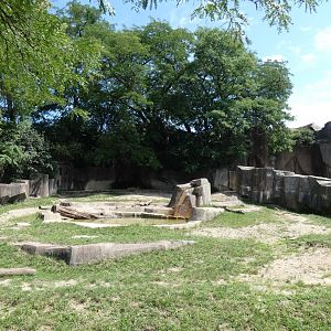 2nd Black Rhino Yard, Africa/Asia/South America - Aug. 2021