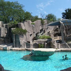 Polar Bear & Seal Habitat - Aug. 2021