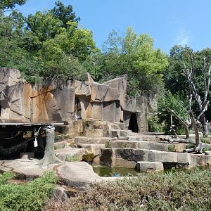 1st Grizzly Exhibit - Aug. 2021