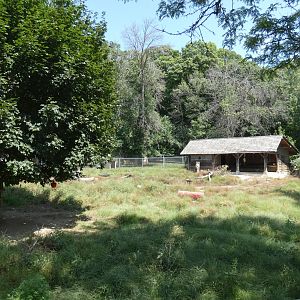 Caribou/Sandhill Crane Yard - Aug. 2021
