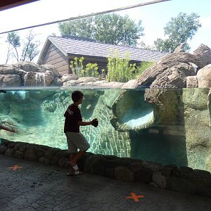 River Otter Enclosure, Otter Passage - Aug. 2021