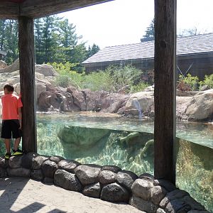 River Otter Enclosure, Otter Passage - Aug. 2021