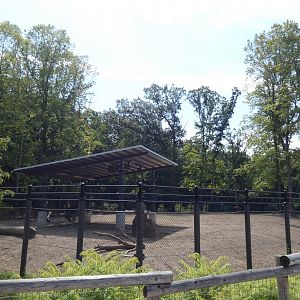 Impala Plains, Adventure Africa - Aug. 2021