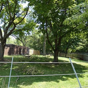 African Forest, Adventure Africa - Aug. 2021