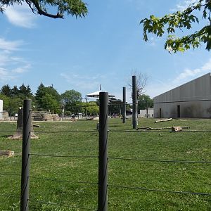 Elephant Yard, Adventure Africa - Aug. 2021