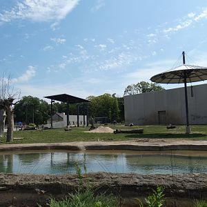 Elephant Watering Hole, Adventure Africa - Aug. 2021