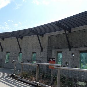 Elephant Enrichment Wall, Adventure Africa - Aug. 2021