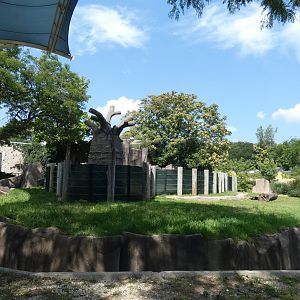 Former Elephant Exhibit - Aug. 2021