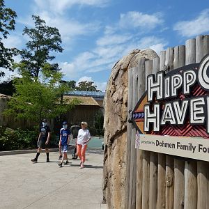Hippo Haven - Aug. 2021