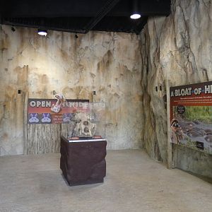 Educational Area, Hippo Haven - Aug. 2021