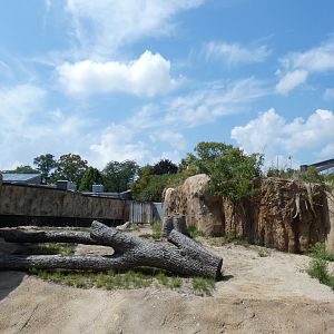 Hippo Exhibit, Hippo Haven - Aug. 2021