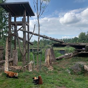 Red Panda Exhibit (a portion of the enclosure)