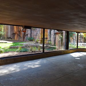 Tiger Temple - Main Viewing Area