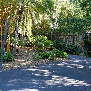 Tiger Temple - Pathway