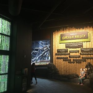 Gorilla Valley Lower Entrance Entry