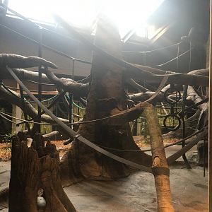 Indoor Gorilla Exhibit