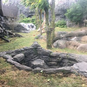 Smaller Outdoor Gorilla Yard