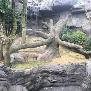 Smaller Outdoor Gorilla Yard