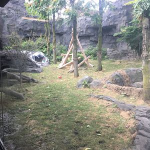 Smaller Outdoor Gorilla Yard