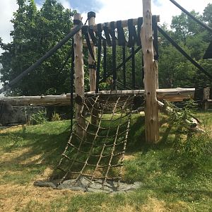 Larger Outdoor Gorilla Yard