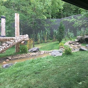 Larger Outdoor Gorilla Yard