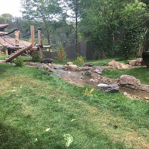 Larger Outdoor Gorilla Yard