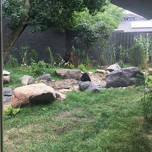 Larger Outdoor Gorilla Yard
