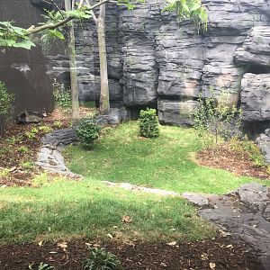 Middle Exhibit Top Portion