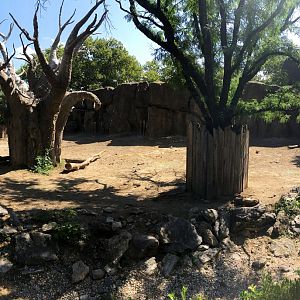White Rhino & Zebra Exhibit