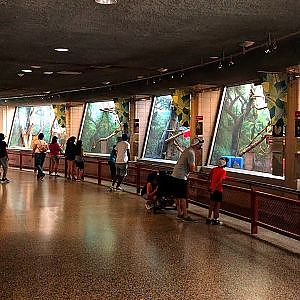 Philadelphia Zoo 2021 [4K 60fps] - YouTube