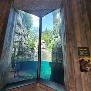 Grizzly Bear Habitat - August 2021