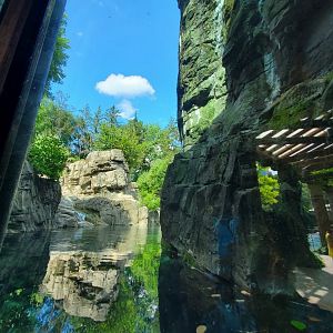 Grizzly Bear Habitat - August 2021