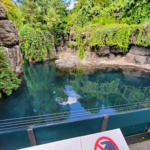 Harbor Seal Habitat - August 2021