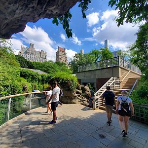 Polar Circle - August 2021