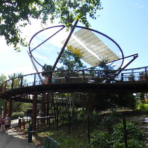 Aug. 2021 - New! Primate Canopy Trails - Magestic Forest (Spider Monkey)