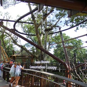 Aug. 2021 - New! Primate Canopy Trails - Conservation Canopy (Colobus)