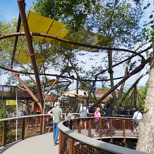 Aug. 2021 - New! Primate Canopy Trails - Conservation Canopy (Colobus)