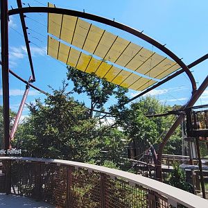 Aug. 2021 - New! Primate Canopy Trails - Majestic Forest (Spider Monkey)