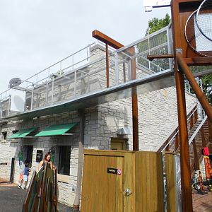 Aug. 2021 - New! Primate Canopy Trails - Indoor Complex