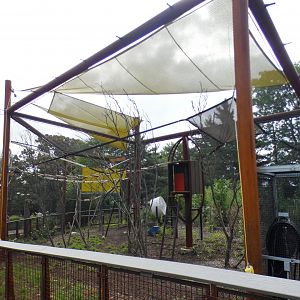 Aug. 2021 - New! Primate Canopy Trails - Fourth Rotational Exhibit (Empty Today)